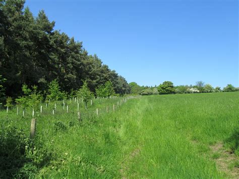 Near Ulshaw T Eyre Cc By Sa Geograph Britain And Ireland