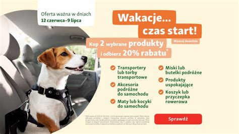 Wakacyjny wyjazd z pupilem o czym należy pamiętać Centrum Nowe