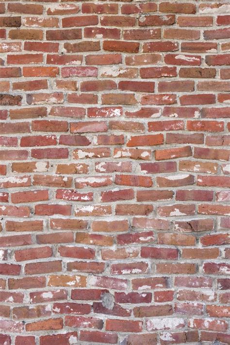 Business Man Looking At Brick Wall Obstacle Stock Image Image Of