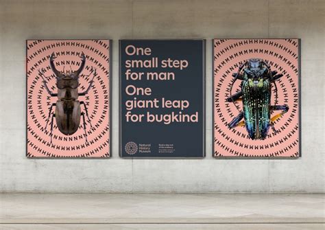 The New Identity for London’s 150-Year-Old Natural History Museum ...