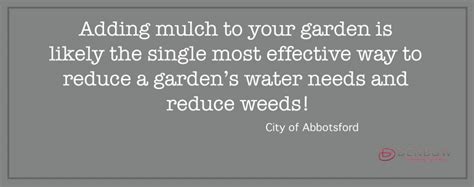 20 Reasons Why You Should Use Mulch In Your Garden Denbow