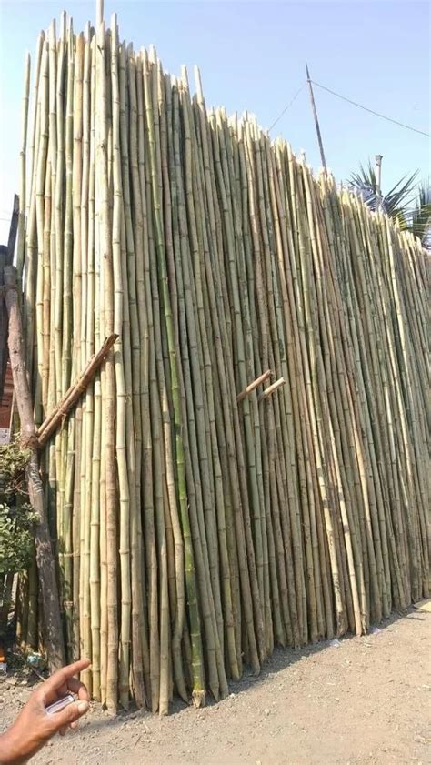 feet long  construction bamboo pole  piece  dimapur