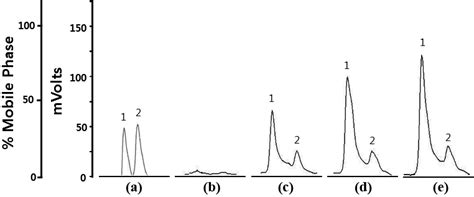 Hplc Chromatograms Of A Mixture Of Authentic Standards Containing