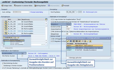 Customizing Sap Formular Rechnungsliste Solidforms