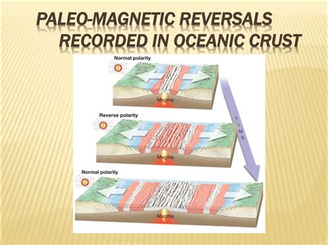 Ppt Plate Tectonics A Scientific Revolution Unfolds Powerpoint