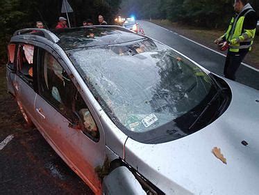 Wypadek pod Białobrzegami Po zderzeniu z sarną kierowca pojazdu wpadł