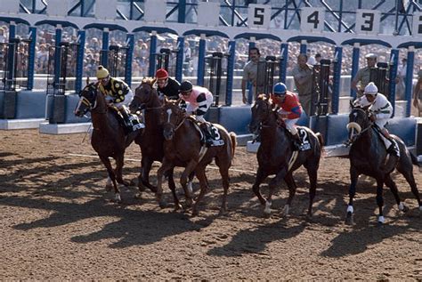 1978 Belmont Stakes Pictures Getty Images