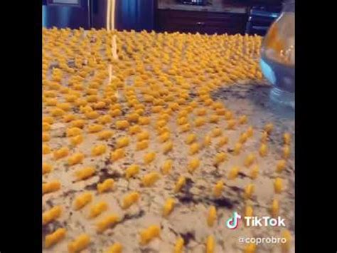 Populat Goldfish On Tik Tok Youtube