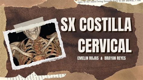 Sx De Costilla Cervical Emelin Rojas UDocz