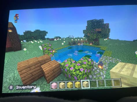 I built a pond! Not nearly as good as these other builds in this sub