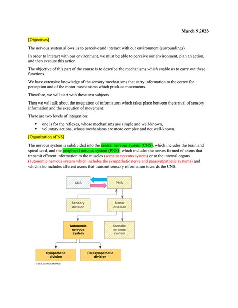 Anp1106 Final Notes March 9 Objectives The Nervous System Allows