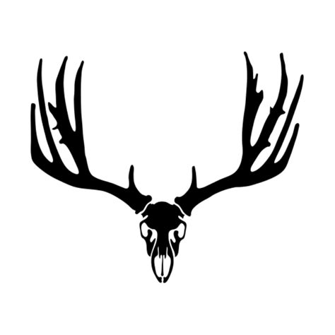 Whitetail Deer Skull Drawing at GetDrawings | Free download