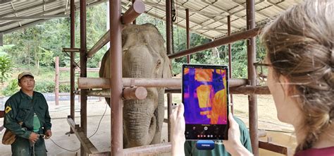 elephant veterinary training  elephant conservation center