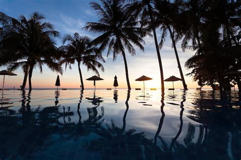 Palmeras De La Orilla Del Mar Con Reflejo En El Agua De La Piscina En