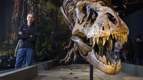 T Rex Komt Tot Leven In Naturalis Rexperience Laat Het Leven Van