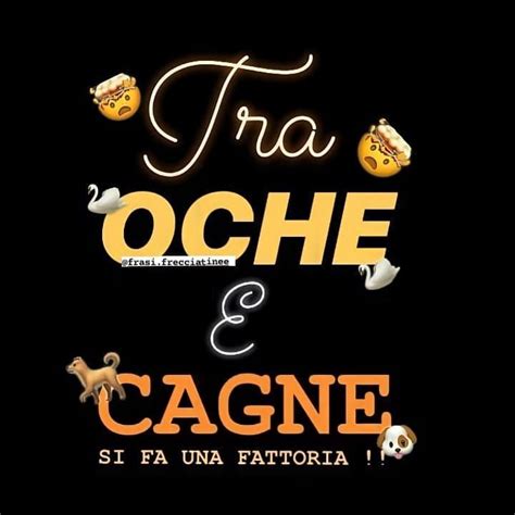 Frecciatine On Instagram Seguiteci Frasi Frecciatinee