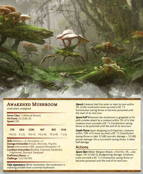 Lesser Awakened Mushroom