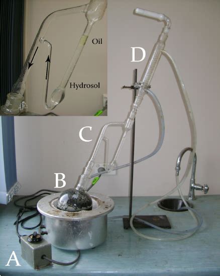hydrodistillation   clevenger type apparatus  power