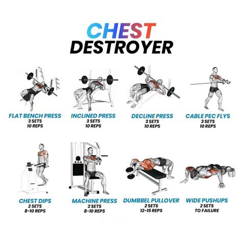 Chest Workout Machine Gym Chest Workout Men Chest Workout Men Gym