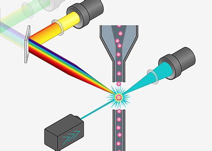 Flow Cytometry: Fundamentals - LabSim