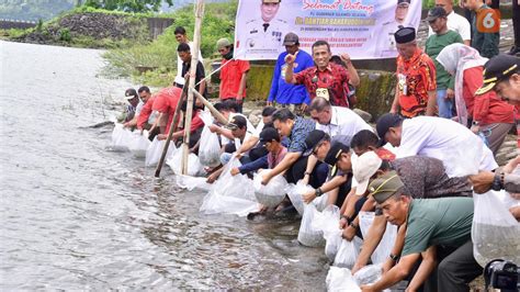 Pj Gubernur Sulsel Tebar Ribu Bibit Ikan Di Bendungan Bili Bili