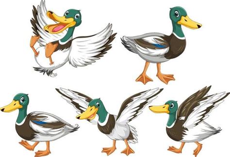 Page 2 Realistic Duck Vector Art Icons And Graphics For Free Download