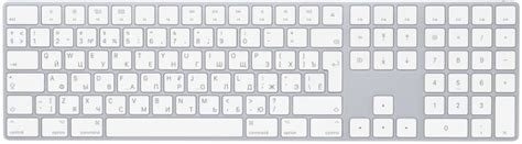 Клавиатура беспроводная Apple Magic Keyboard Серебристая (MQ052 ...