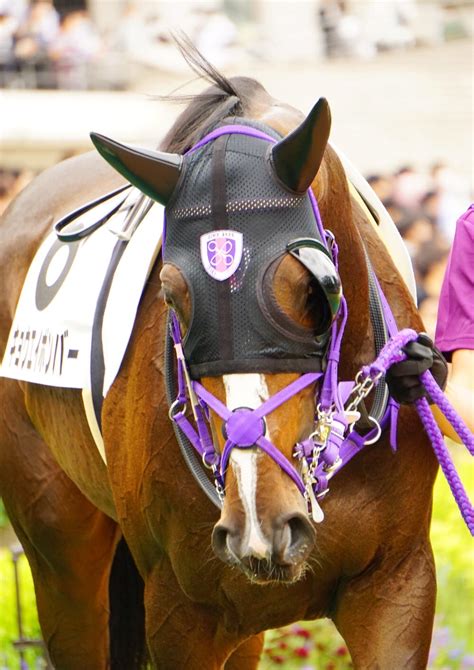 5月14日東京競馬⭐︎3歳未勝利⭐︎キョウエイボンバー⭐︎移籍 公式：黒澤ひかりのキラキラ日記～magic Kiss Lovers Only～