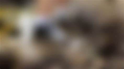 Converse Porn Videos Clips Sale