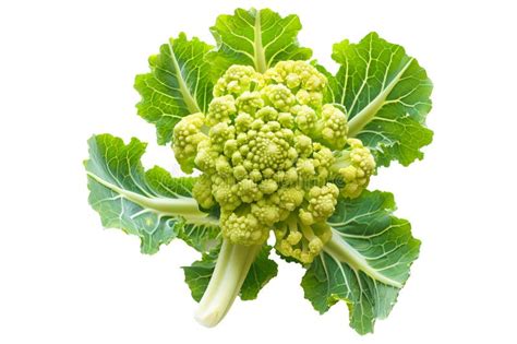 Romanesco Broccoli Floret With Green Leaves Isolated On A White