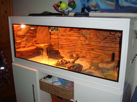 Pin By Sonia Barrett On Reptiles Diy Bearded Dragon Enclosure