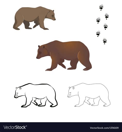 Brown Bear Royalty Free Vector Image - VectorStock