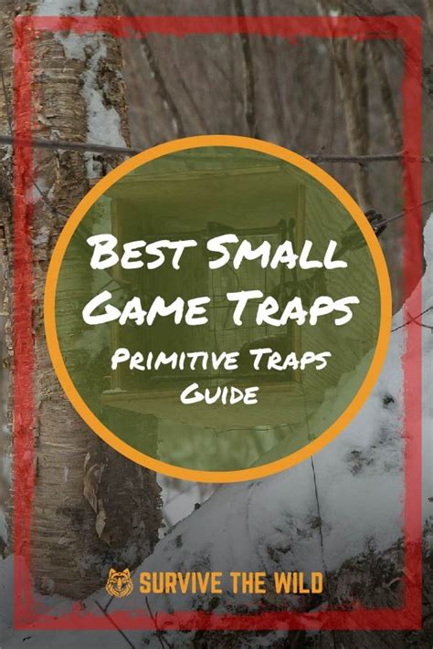 Best Small Game Traps 3 In 2021 Survival Quotes Surviving In The