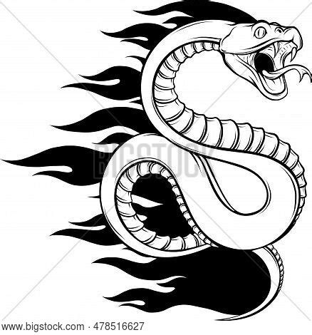 Snake Outline Icon. Vector & Photo (Free Trial) | Bigstock