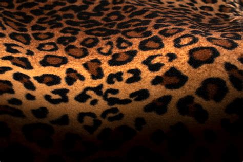 Download Free 100 + leopard print screensaver