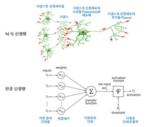 초거대 언어모델llm과 인간의 두뇌 딥러닝과 인간의 뇌 그리고 튜링테스트