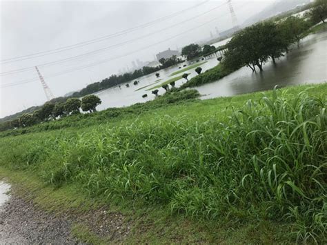 7月9日のゲリラ豪雨の関連の写真（枚方つーしん）