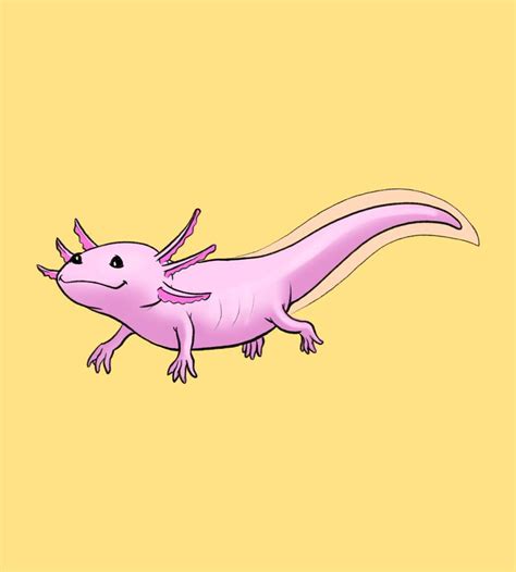 How To Draw An Axolotl Cheaper Than Art School