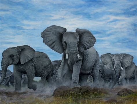 Shop - Africa Wildlife Art