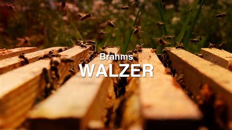 Brahms Walzer Nr A Dur H Nde Nature Classics Best Of