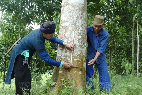 Crecen exportaciones de productos agrícolas forestales y pesqueros de