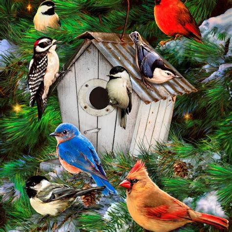 Rustic Bird House - Etsy