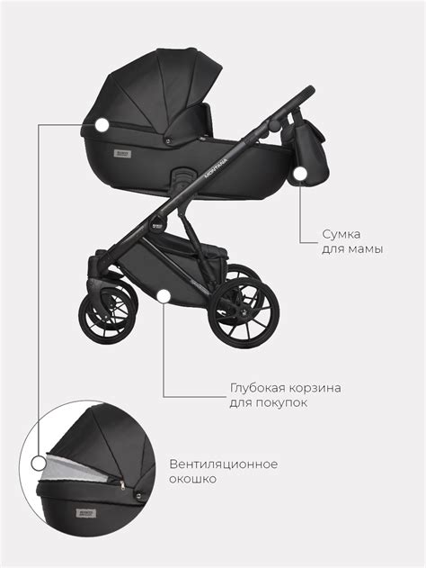 Riko BASIC MONTANA ECCO 2 в 1 коляска купить Минск Витебск...