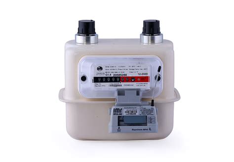 Gas Meters Products Raychem Rpg