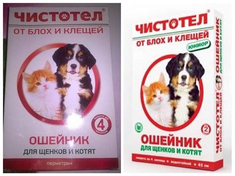 Ошейник от блох Чистотел для кошек и собак: отзывы и инструкция