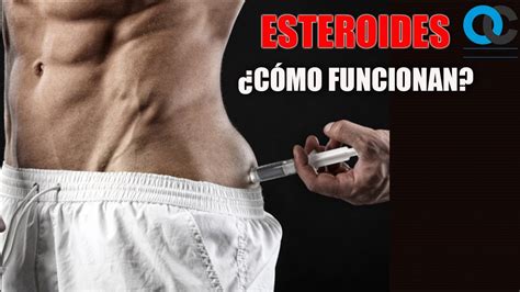 Esteroides ¿Cómo funcionan? - YouTube