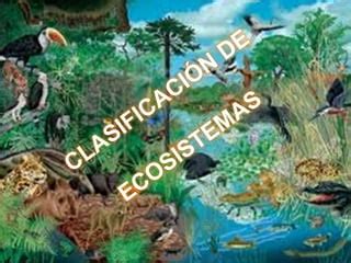 Ecosistema Por Aracely Carranza PPT Descarga Gratuita