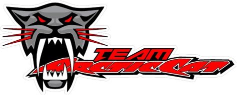 Team Arctic Cat Decal Sticker 31