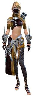 Human cultural armor - Guild Wars 2 Wiki (GW2W)