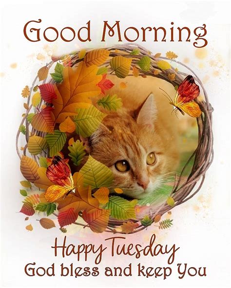 Fall Cat Good Morning Happy Tuesday Quote Pictures Photos And Images